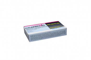Coaprovel 300 / 25 mg Caja Con 28 Comprimidos Recubiertos