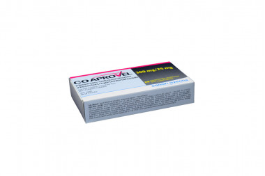 Coaprovel 300 / 25 Mg Caja Con 28 Comprimidos Recubiertos