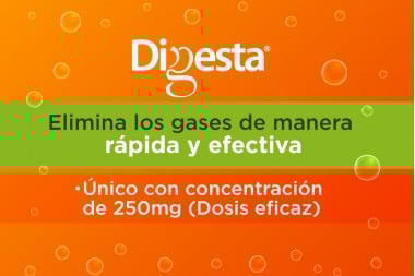 Digesta 250 Mg Caja Con 20 Cápsulas Blandas