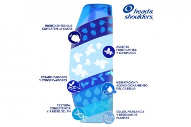 Shampoo Head & Shoulders Control Caspa Limpieza Renovadora Sachet 18 Ml