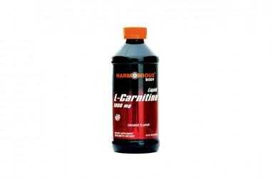 L-CARNITINA 1000MG 473 ML