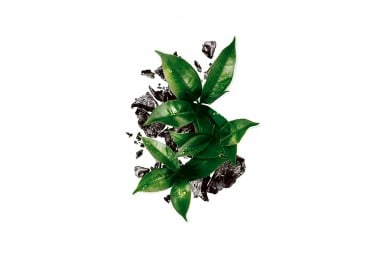 Mascarilla Negra Garnier En Tela Pure Carbón Und