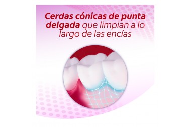 Cepillo Dental Colgate Encias Therapy Suave 2 Unds