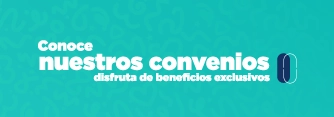 conoce convenios icono