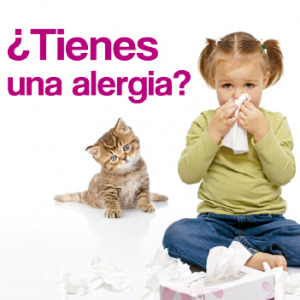 ¿Tienes una alergia?