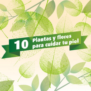 10 Plantas y flores para cuidar tu piel