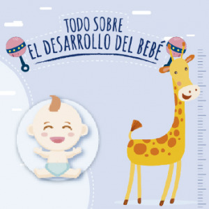 Todo sobre el desarrollo del bebé