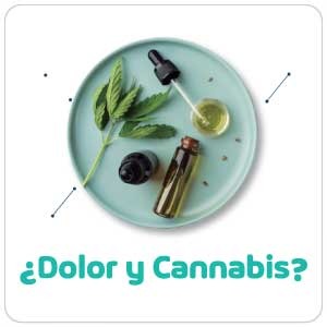 ¿Dolor y Cannabis?